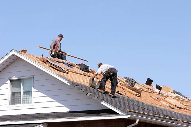 Best Roof Ventilation Installation  in Monon, IN